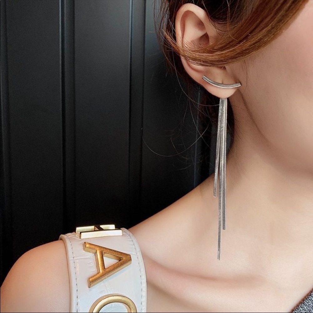 New Silver Bar Long Tassel Earrings - Picture 3 of 7